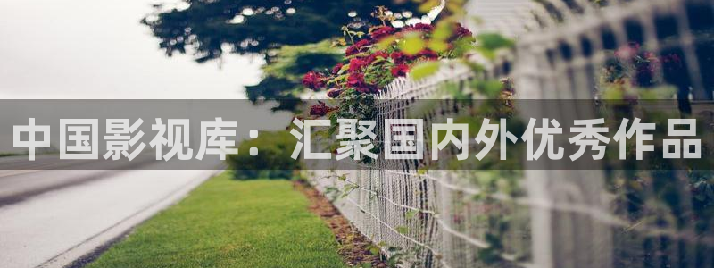 36d午夜在线：中国影视库：汇聚国内外优秀作品