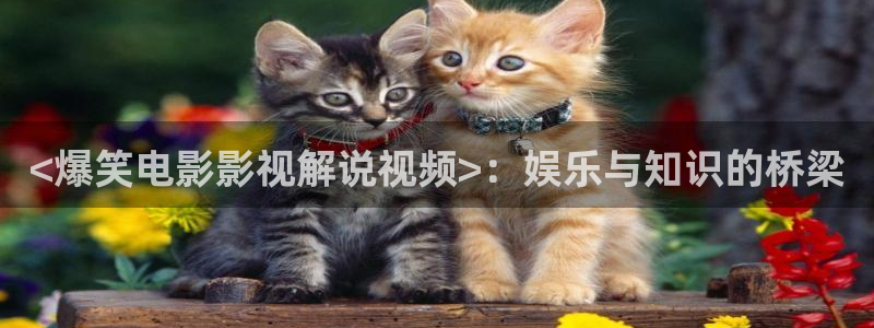红桃影院午夜：<爆笑电影影视解说视频>：娱乐与知识的桥梁