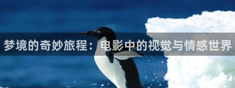 午夜影院福利：梦境的奇妙旅程：电影中的视觉与情感世界