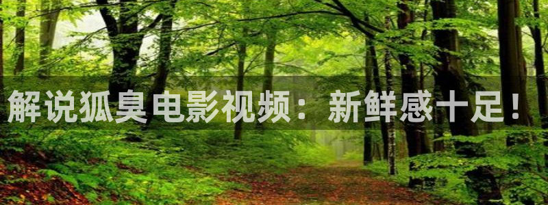 国产午夜影视：解说狐臭电影视频：新鲜感十足！
