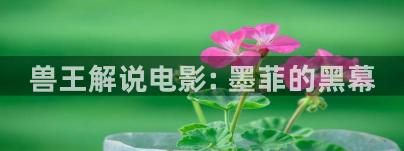 久午夜免费视频